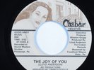 Modern Sweet Soul 45 CASH The Joy Of You CASBAR HEAR