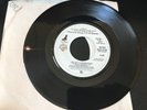 RARE PROMO 45 Yesca (Cheech & Chong' Up In Smoke) Lost Due To Incompetence  NM