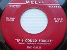 the GALES white doowop strong VG MEL-O 45 IF I COULD FORGET b/w JOSEPHINE kz114