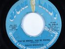 Crossover Soul 45 DAVID SHEFFIELD You're Wrong, You're Wrong STONE LADY HEAR