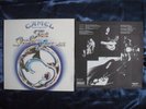 Camel - Snow Goose - LP + Rare Insert UK N/Mint 1975 SKL R5207