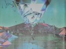 Imagine Dragons Evolve Tour Lithograph Poster Signed  (VIP Gift)