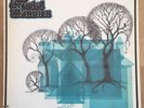 The Crystal Mansion - Rare Earth - Garage Psych  LP