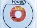 Funk Sweet Soul 45 LEN WOODS Do It Funky REVUE promo HEAR