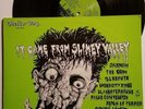 IT CAME FROM SLIMEY VALLEY LP ORIG 1984 HC PUNK DR KNOW ILL REPUTE CIRCLE ONE