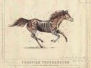 TURNPIKE TROUBADOURS-LONG WAY FROM YOUR HEART  VINYL LP NEW