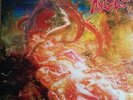 DEATH METAL - MORBID ANGEL - BLESSED ARE THE SICK LP - MOSH 31 EX