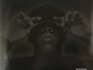 JAY-Z 