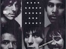 Jeff Beck Group - Rough And Ready - ORIGINAL VINYL LP (KE 30973)