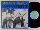 STRUMMIN' MENTAL  Volume 2 1957-1965 LP on Link VG++