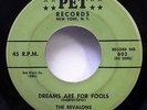 REVALONS 45 This is the moment / Dreams are for fools PET doowop  ws1487