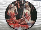 cannibal corpse - born in a casket pic-lp
