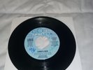LIQUID EARTH - LION'S DEN 1984 PRIVATE METAL EMERALD BAD AXE AMETHYST FAR EAST