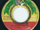 G Murphy - Essence Of Life / Dub - Destiny 7