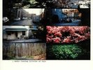 AMERICAN PLEASURE CLUB - A Whole Fucking Lifetime Of This - Vinyl (LP)