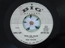 True Taylor AKA Paul Simon - True or False VG+ / VG - Rockabilly 45 - Promo