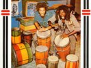THE CONGOS - Heart of the Congos VINYL LP - Lee Perry Scientist RECORD ALBUM