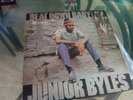 Junior Byles ?– Beat Down Babylon    LP