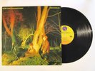 ECHO AND THE BUNNYMEN CROCODILES LP ORIG. U.S. 1980 POST PUNK / NEW WAVE