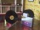 Ultrasonic Vinyl Record Cleaning Machine (identical to the one in the pictures)