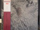 Felt ?– Ignite The Seven Cannons - Vinyl, LP, Album - Japan 1985