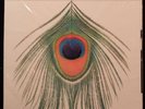 XTC - Apple Venus - ORIGINAL 1999 Cooking Vinyl, SEALED   M-