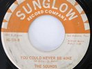 SOUNDS Little Joe / You Could Never Be Mine Sunglow Texas Soul 45 HEAR
