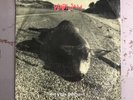 Pearl Jam 1992 Christmas Single 45 Who Killed Rudolph Sonic Reducer / Ramblings