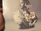 Alina Baraz - Urban Flora [New Vinyl]