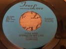 Compass You Are Spring Of My Life Rare Original USA Killer Soul 7