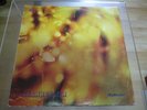 STEAMHAMMER - REFLECTION  - VINYL LP FOC ( CBS 63611 UK 1969 )