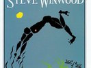 Steve Winwood - Arc Of A Diver (1LP) Vinyl LP Universal NEW