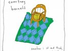 Sometimes I Sit and Think, And Sometimes I Just Sit. by Courtney Barnett.