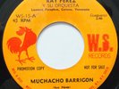 RAY PEREZ Y SU ORQUESTA MUCHACHO BARRIGON / TODO DE MI 45 HEAR PROMO