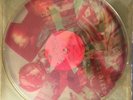 TALKING HEADS (RARE) SPEAKING IN TONGUES RAUSCHENBERG ART LP 1983 MINT Sire