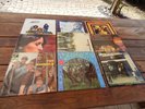 9 LP´s The Animals Creedence Clearwater Blood Sweat & Tears Elton John America