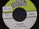FATS & ALL STARS: Wild Onions / No Me Importa 45 (2 small tags on labels)