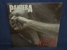Pantera: