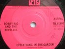 Bobby Rio and The Revelles-Everything in the garden 7
