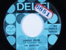 Doo Wop Popcorn 45 SHADOWS Jungle Fever DEL FI VG+ HEAR