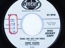Doo Wop Rocker 45 KENNY ESQUIRE Tears Are Just For Fools EMBER promo HEAR