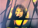 JOHN MARTYN 