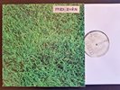 LIVING MUSIC - TO ALLEN GINSBERG LP - 1973 RCA PROMO 1st press ITALIAN FOLK PROG