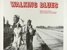 V/A - Walking Blues LP - Flyright UK NM