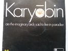 Spontaneous Music Ensemble - Karyobin Vinyl LP Rare UK 1st Island Pink Free Jazz