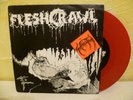 Fleshcrawl, Lost in a Grave, 7