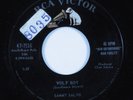 Teen Rockabilly 45 SAMMY SALVO Wolf Boy RCA VICTOR VG+/VG++ HEAR