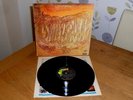 Savoy Brown  