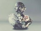 Alina / Galimatias Baraz - Urban Flora (Vinyl Used Like New)