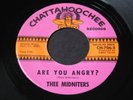 Thee Midniters   Are You Angry? / I Found a Peanut   garage latino soul 45 HEAR